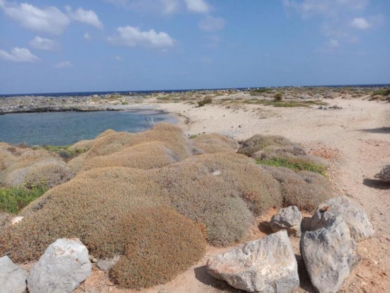 Stavros Ein wirklich erstaunliches Grundstück am Meer in Stavros, Chania Grundstück kaufen